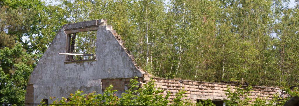 die Baeume wachsen durch dieses Haus